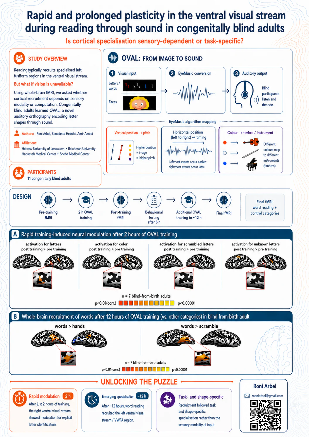 Conference poster titled Rapid and prolonged plasticity in the ventral visual stream during reading through sound in congenitally blind adults. Panels cover the study overview, the OVAL image-to-sound conversion and EyeMusic mapping of vertical position to pitch, horizontal position to time and colour to instrument, the training and fMRI design, brain activation maps after two hours and after twelve hours of training, and three conclusions.